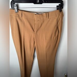 Suntan suit pants